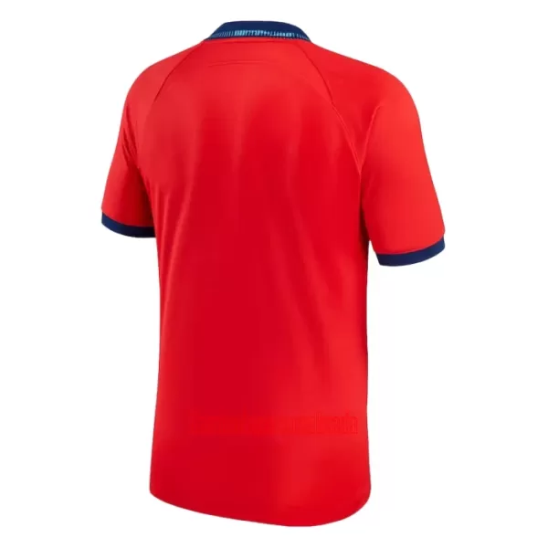 Camisolas Inglaterra Equipamento Alternativo Mundial 2022