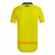 Camisolas Boca Juniors Equipamento Terceiro 22/23