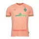 Camisolas Werder Bremen Equipamento Alternativo 22/23