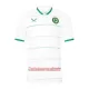 Camisolas Irlanda Equipamento Alternativo 2023