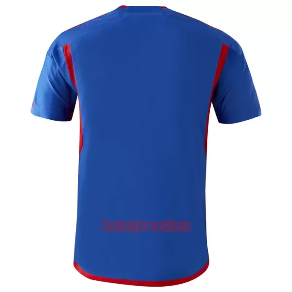 Camisolas Olympique Lyonnais Criança Equipamento Alternativo 23/24