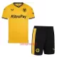 Camisolas Wolverhampton Wanderers Criança Equipamento Principal 23/24