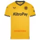 Camisolas Wolverhampton Wanderers Equipamento Principal 23/24