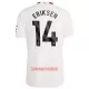 Camisolas Manchester United Eriksen 14 Equipamento Terceiro 23/24