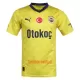 Camisolas Fenerbahce Equipamento Alternativo 23/24