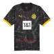 Camisolas Borussia Dortmund Equipamento Alternativo 23/24