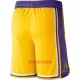 Calções NBA Los Angeles Lakers Icon Edition Swingman