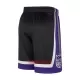 Calções NBA Sacramento Kings Icon Edition Swingman Preto