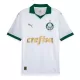 Camisolas Palmeiras Equipamento Alternativo 24/25