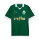 Camisolas Palmeiras Equipamento Principal 24/25