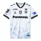 Camisolas Gamba Osaka Equipamento Alternativo 24/25