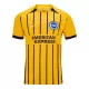 Camisolas Brighton Hove Albion Equipamento Alternativo 24/25