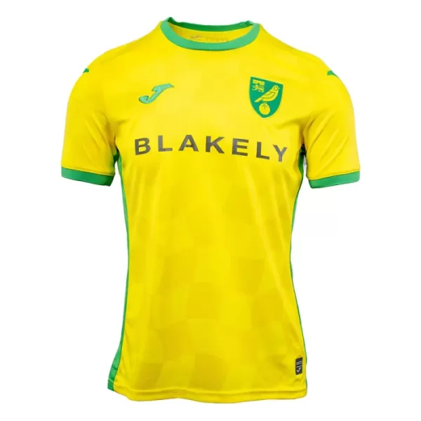 Camisolas Norwich City Equipamento Principal 24/25