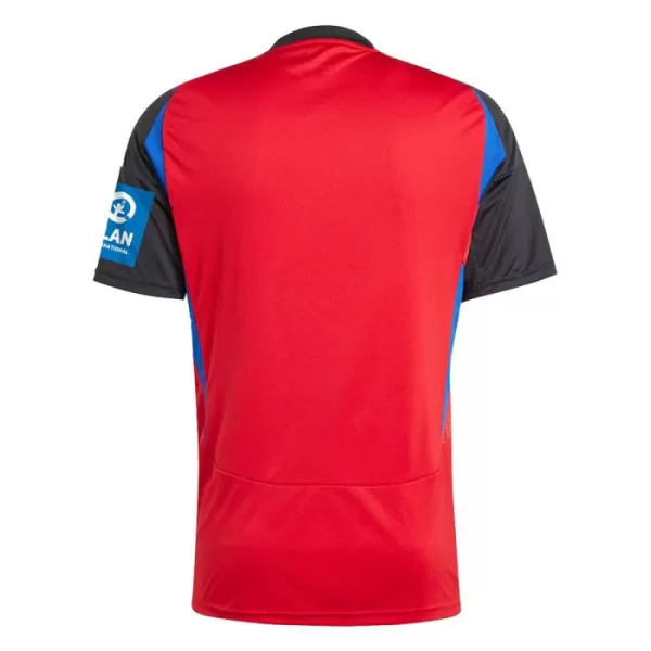 Camisolas Hamburger SV Equipamento Terceiro 24/25