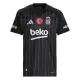 Camisolas Besiktas Equipamento Alternativo 24/25