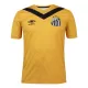 Camisolas Santos FC Equipamento Terceiro 24/25