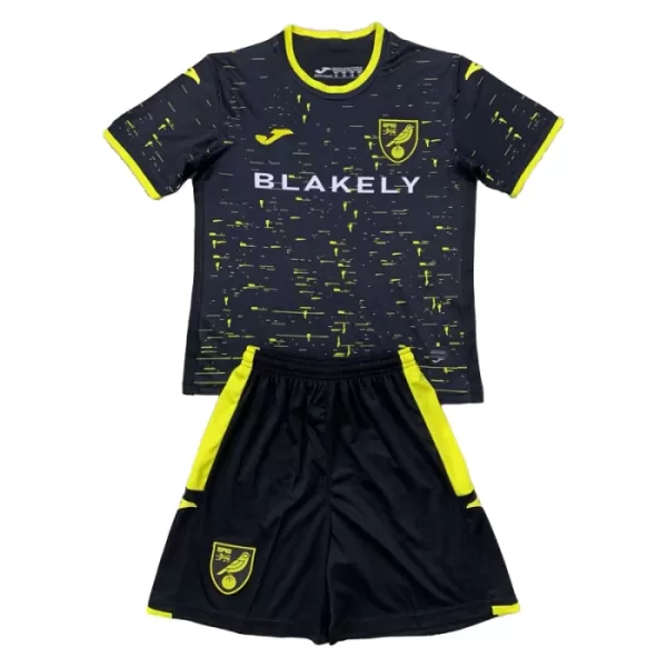 Camisolas Norwich City Criança Equipamento Alternativo 24/25