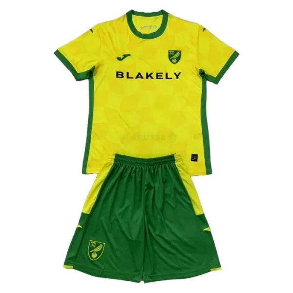 Camisolas Norwich City Criança Equipamento Principal 24/25